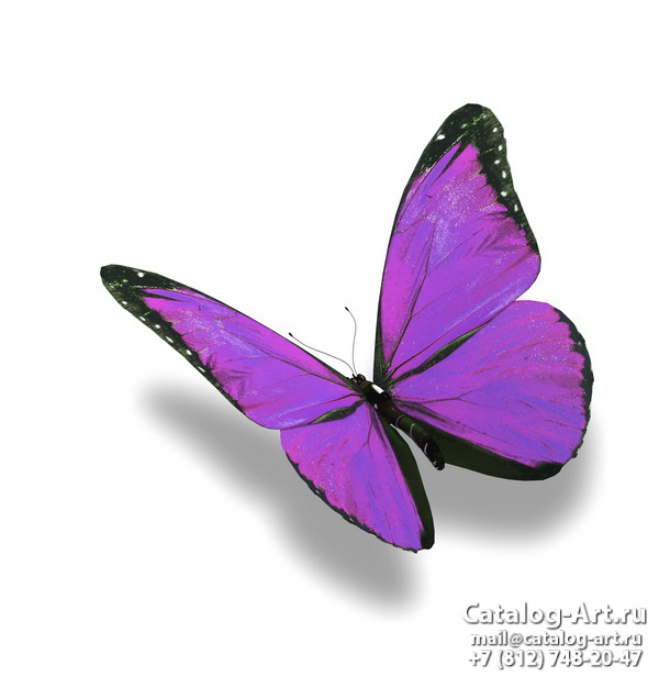  Butterflies 112